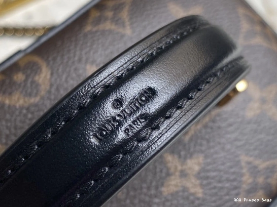 AAA Pruses Bags LOUIS VANITY VUITTON PM 0718